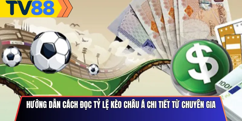 Hướng Dẫn Cách Đọc Tỷ Lệ Kèo Châu Á Chi Tiết Từ Chuyên Gia